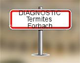Diagnostic Termite AC Environnement  à Forbach